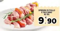 Il Centro Superstore Spiedini di pollo e tacchino offerta