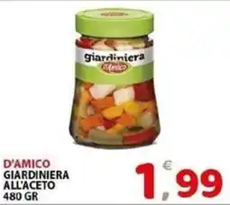 Il Centro Superstore Giardiniera D'Amico offerta