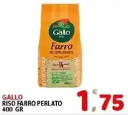 Il Centro Superstore Gallo Riso Farro Perlato offerta