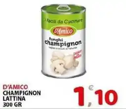 Il Centro Superstore D'Amico funghi champignon offerta