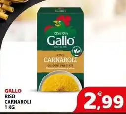 Il Centro Superstore Gallo riso carnaroli offerta