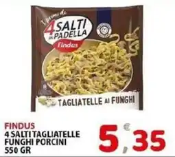 Il Centro Superstore Findus 4 Salti Tagliatelle Funghi Porcini offerta