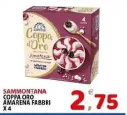 Il Centro Superstore Sammontana Coppa Oro Amarena Fabbri offerta