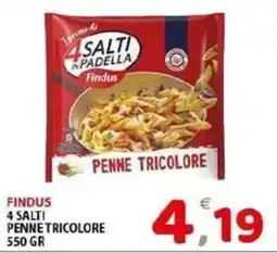 Il Centro Superstore Findus 4 Salti Penne Tricolore offerta