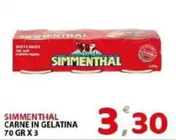 Il Centro Superstore Simmenthal carne in gelatina offerta