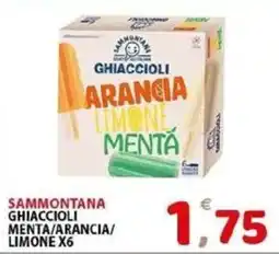 Il Centro Superstore Sammontana ghiaccioli menta/arancia/limone offerta
