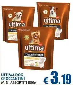Casa & Co Ultima dog croccantini offerta
