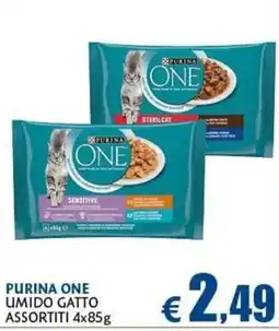 Casa & Co Purina One umido gatto offerta