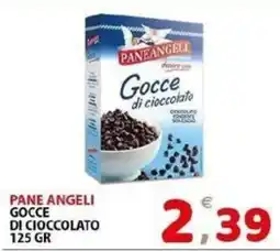 Il Centro Superstore Paneangeli Gocce di cioccolato offerta