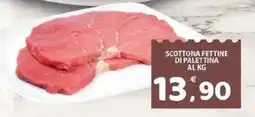 Il Centro Superstore Scottona fettine di palettina offerta
