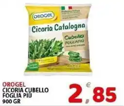 Il Centro Superstore Orogel cicoria cubello foglia più offerta