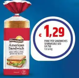 Ard Discount American Sandwich Sfornasole offerta