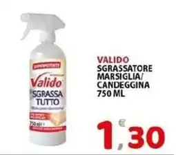 Il Centro Superstore Valido sgrassatore tutto offerta