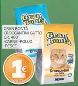 Carni e Affini Supermercati Gran Bontà Croccantini Gatto offerta
