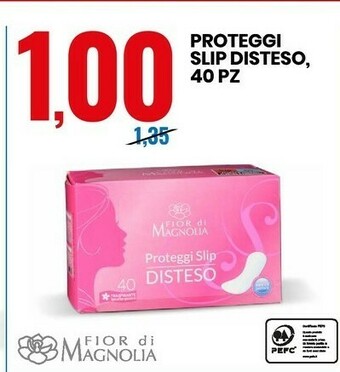 Eurospin Proteggi slip disteso, 40 pz offerta