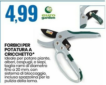 Eurospin Forbici per potatura a cricchetto offerta