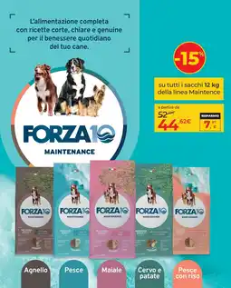 Arcaplanet Forza10 Maintenance offerta