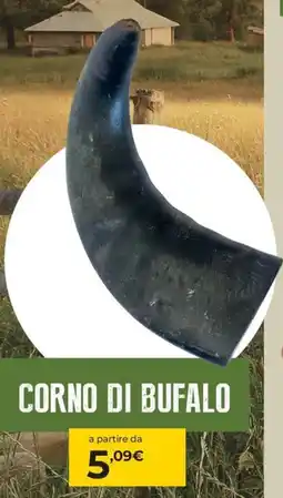 Arcaplanet Corno di bufalo offerta