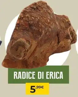 Arcaplanet Radice di erica offerta