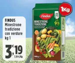 Rossotono Carrefour Findus Minestrone tradizione con verdure offerta
