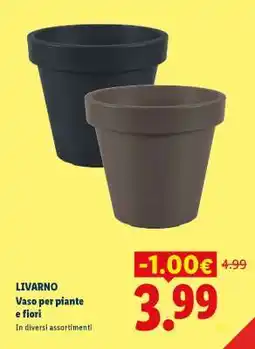 Lidl LIVARNO Vaso per piante e fiori offerta