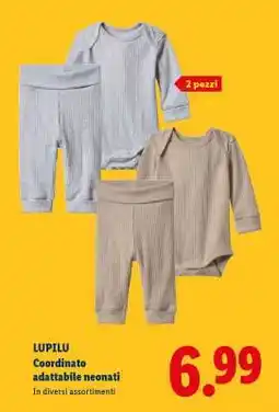 Lidl Lupilu offerta