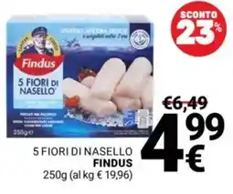 Supermercati Gulliver 5 Fiori di Nasello Findus offerta