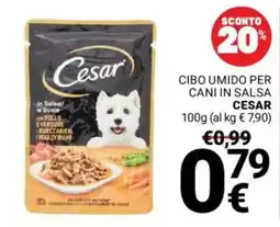 Supermercati Gulliver Cibo umido per cani in salsa Cesar offerta