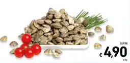 Spazio Conad Lupini offerta