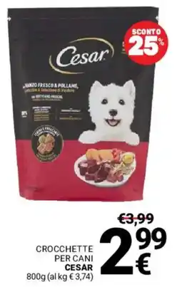 Supermercati Gulliver Crocchette per cani Cesar offerta