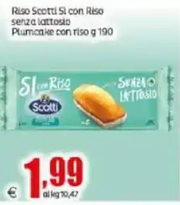 Elite Riso Scotti Si con Riso senza lattosio Plumcake offerta