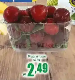 Elite Prugne rosse offerta