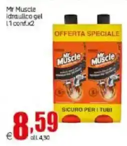 Elite Mr Muscle idraulico gel offerta