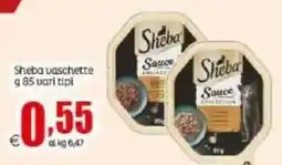 Elite Sheba vaschette offerta