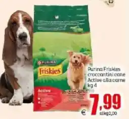 Elite Purina Friskies crocchettini cane Active alla carne offerta