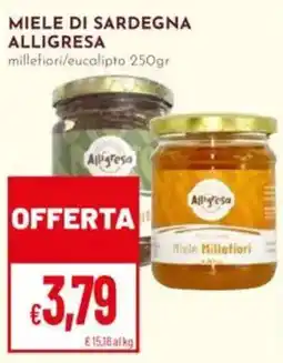 Pan Miele di Sardegna Alligresa offerta