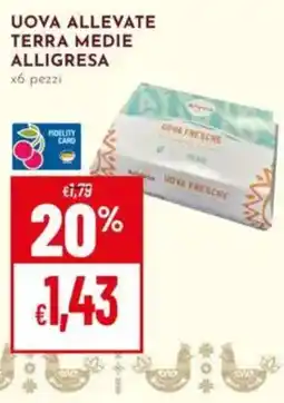 Pan Uova allevate terra medie alligresa offerta