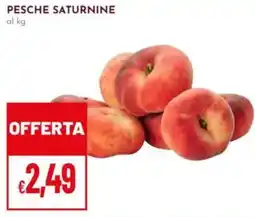 Pan Pesche Saturnine offerta