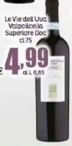 Elite Le Vie dell'Uva Valpolicella Superiore Doc offerta