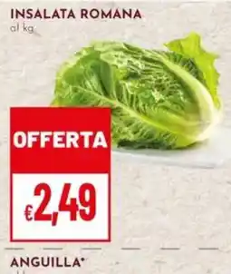 Pan Insalata romana offerta