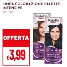 Pan Palette colorazione palette intensive offerta