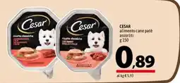 A&O Cesar alimento cane patè offerta