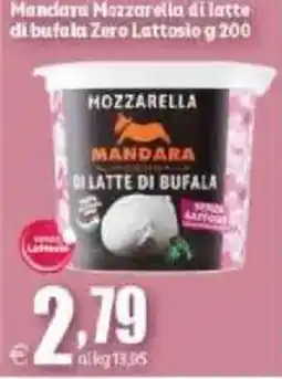 Elite Mozzarella di latte di bufala Mandara offerta
