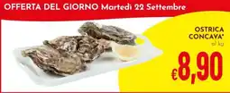Pan Ostrica concava offerta