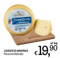 A&O Pecorino Delicato di Amatrice offerta