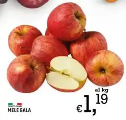 A&O Mele Gala offerta
