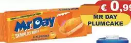 Magazzini del Risparmio Mr. Day plumcake offerta