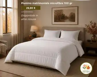 Piumino matrimoniale microfibra