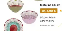 Kasanova Ciotolina offerta