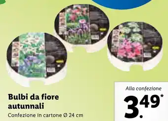 Lidl Bulbi da fiore autunnali offerta